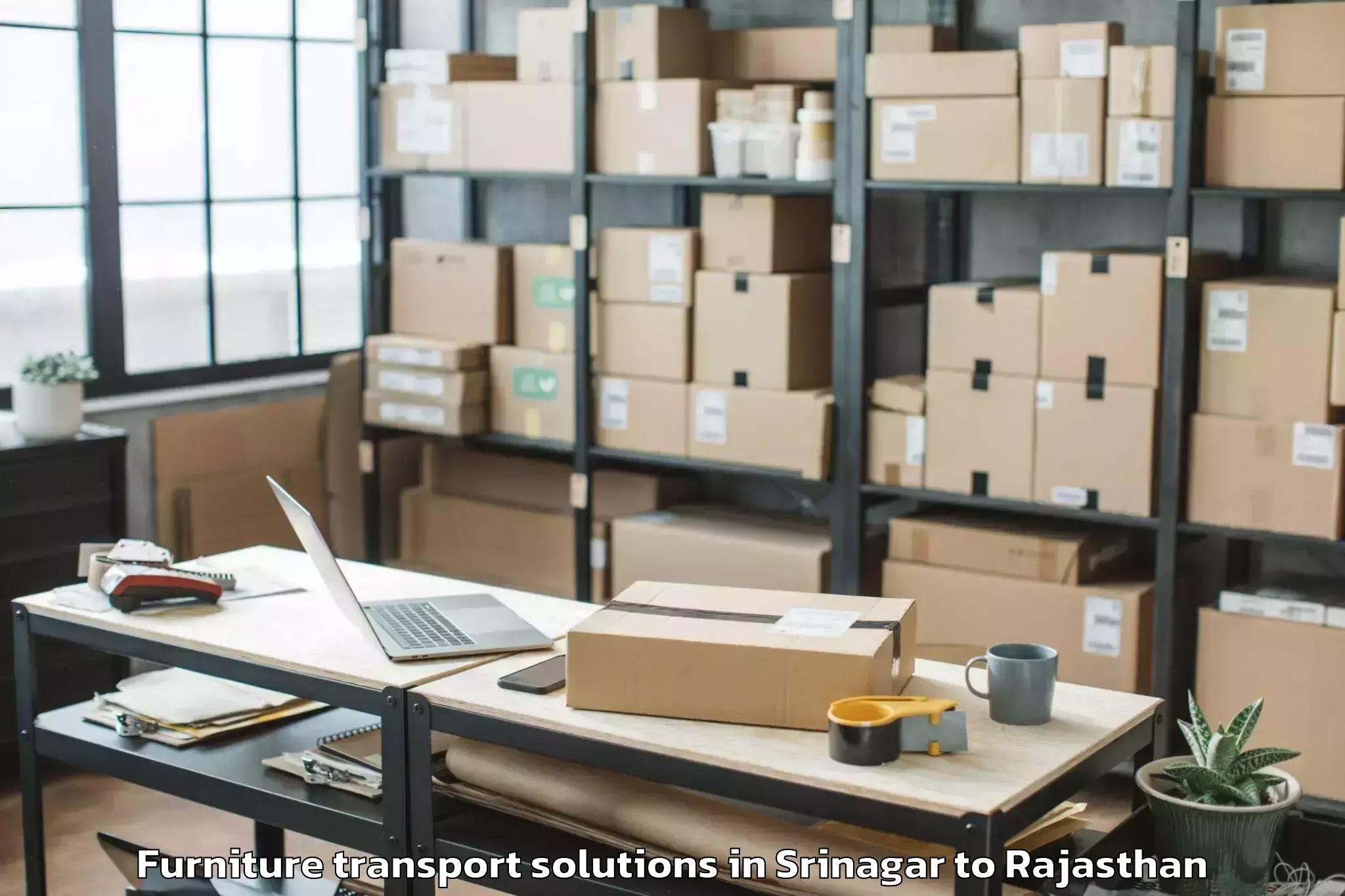 Book Srinagar to Asind Furniture Transport Solutions